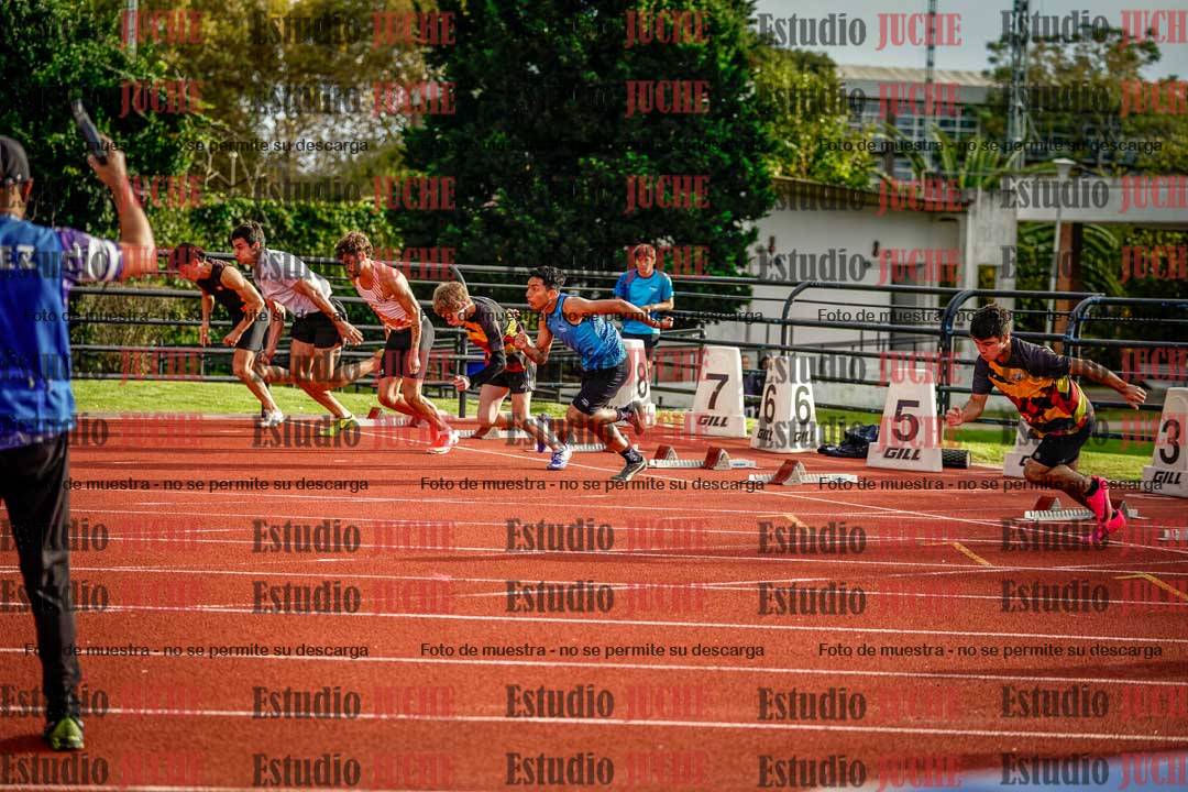 Fotos de los 110 m con vallas de varones
