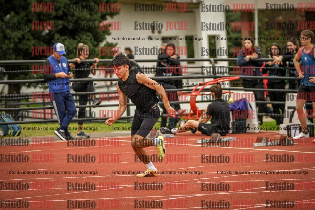 Fotos de los 110 m con vallas de varones