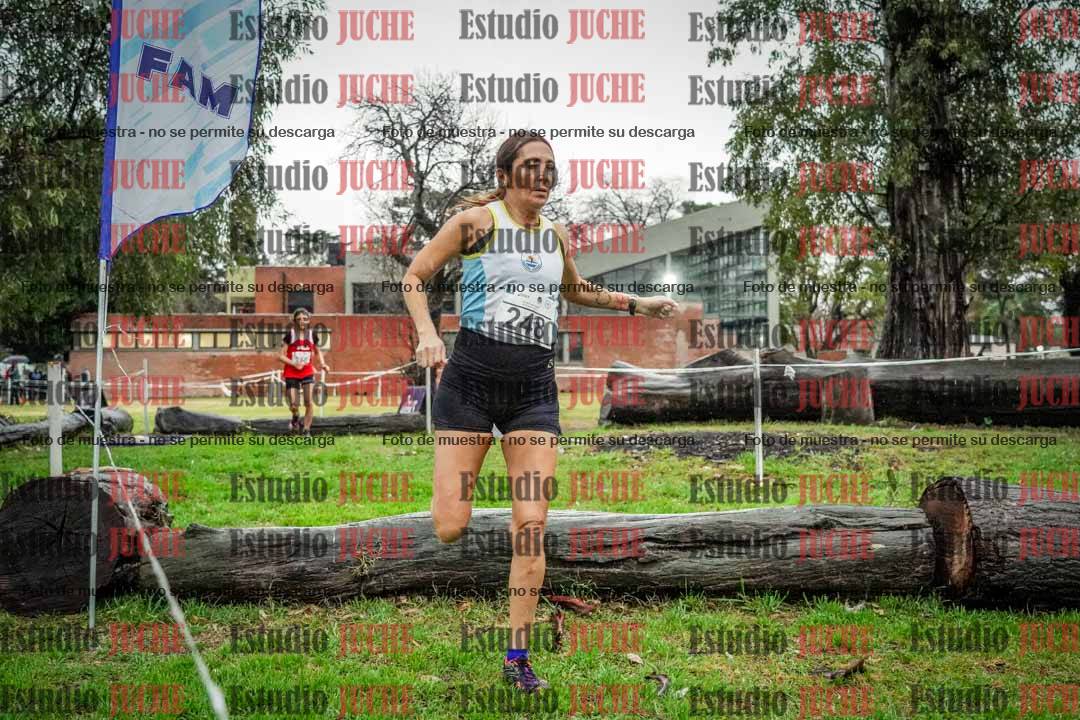 Fotos en el circuito