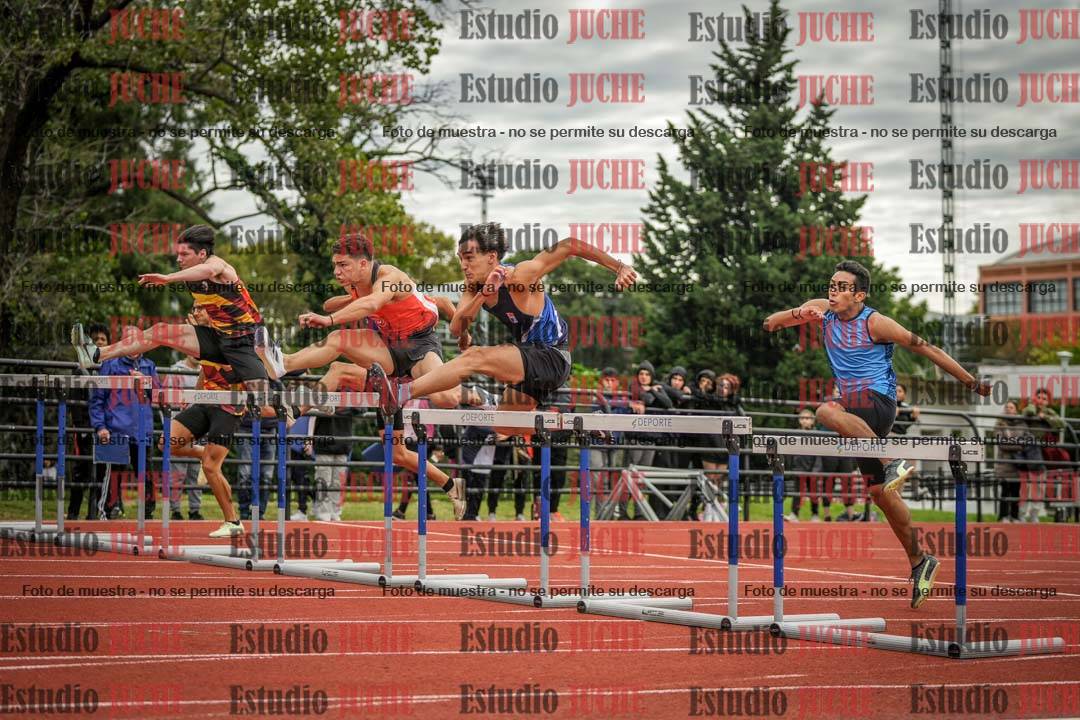 Fotos de los 110 m con vallas de varones