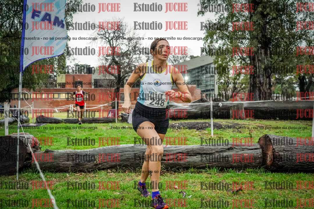 Fotos en el circuito