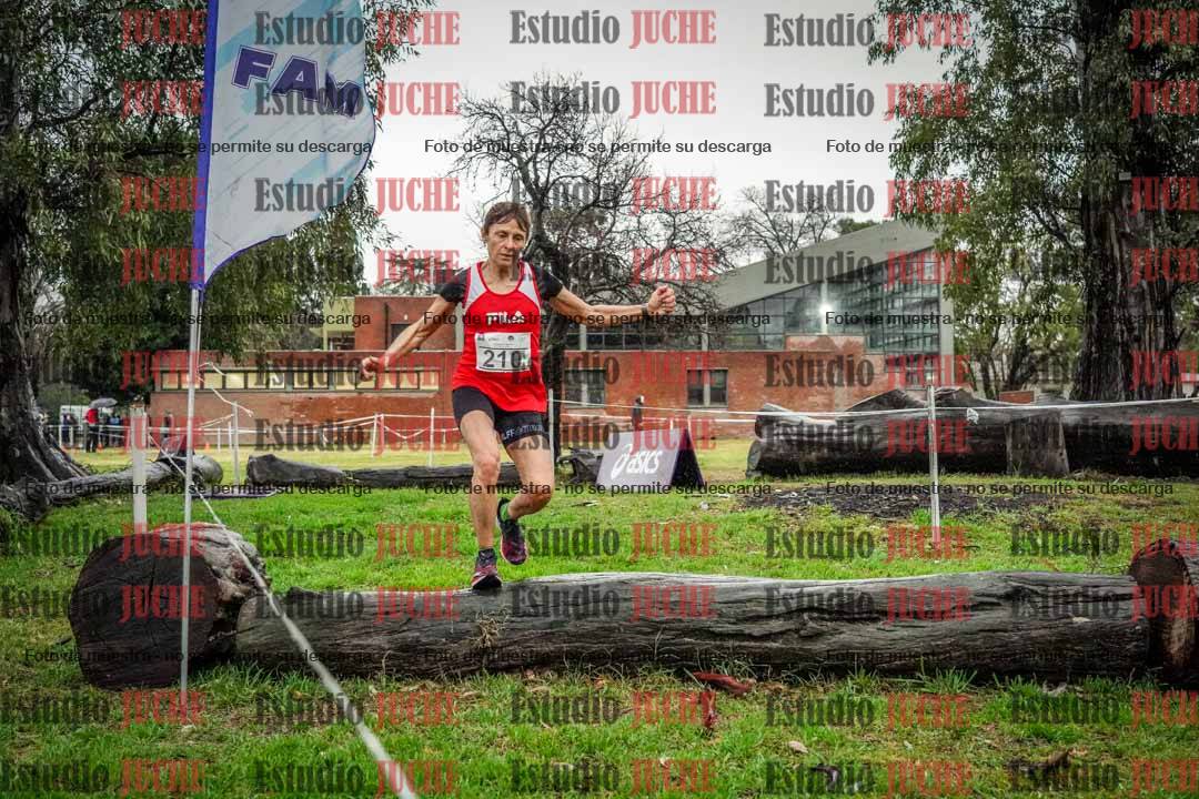 Fotos en el circuito
