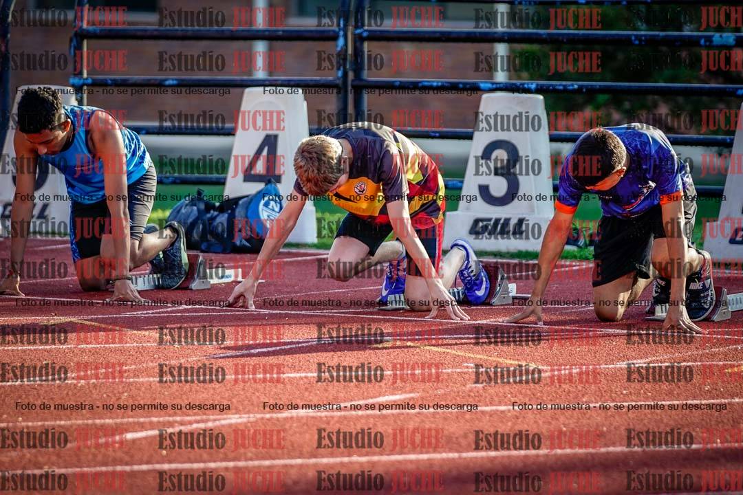 Fotos de los 110 m con vallas de varones