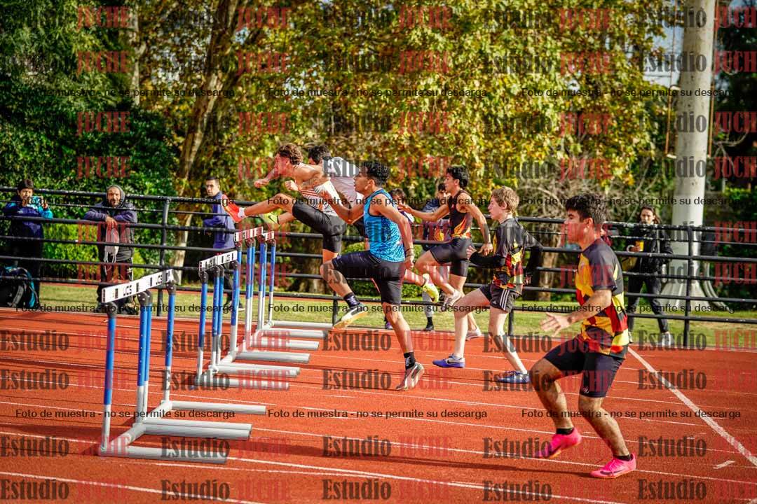 Fotos de los 110 m con vallas de varones