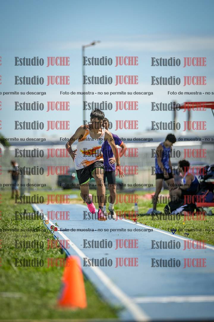 Fotos del salto en largo de varones