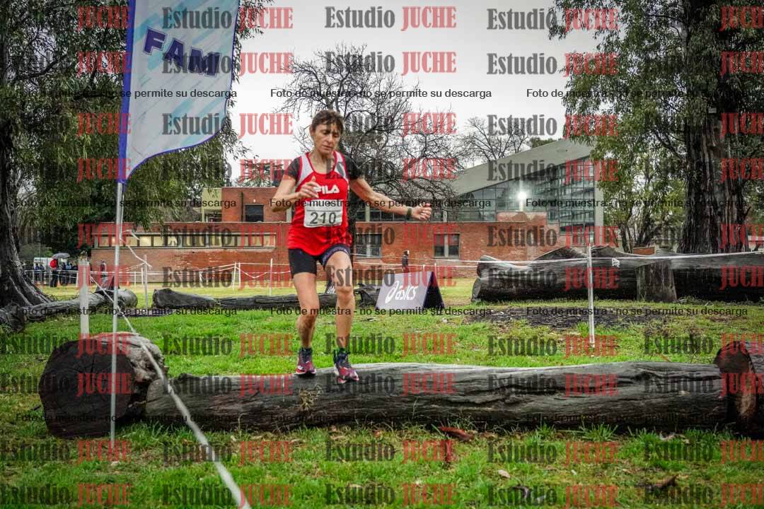 Fotos en el circuito