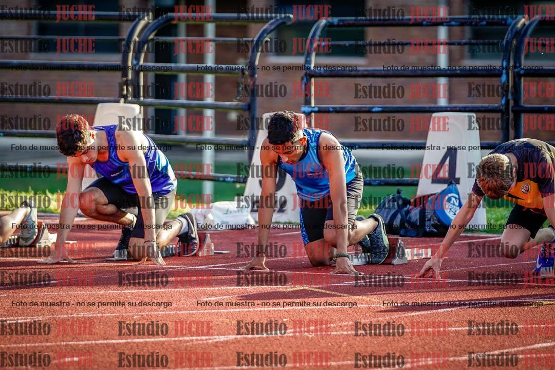 Fotos de los 110 m con vallas de varones