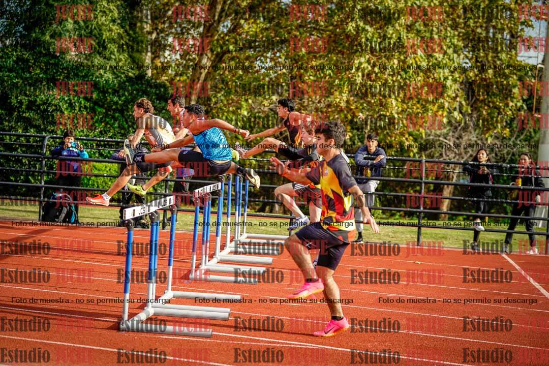 Fotos de los 110 m con vallas de varones