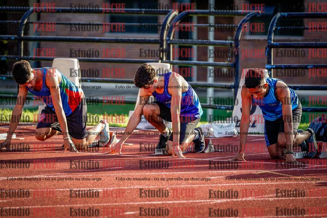 Fotos de los 110 m con vallas de varones