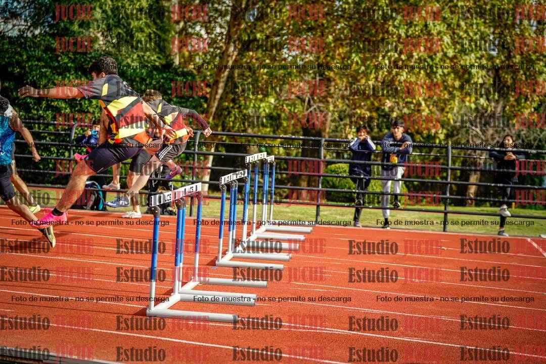 Fotos de los 110 m con vallas de varones