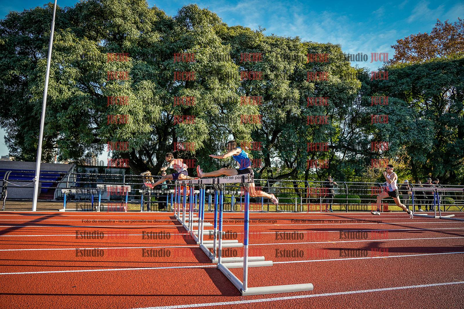 Fotos de los 110 m con vallas de varones - decatlón 6