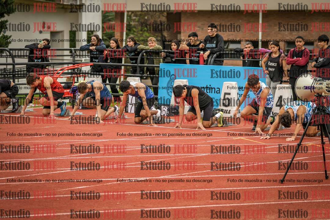 Fotos de los 110 m con vallas de varones
