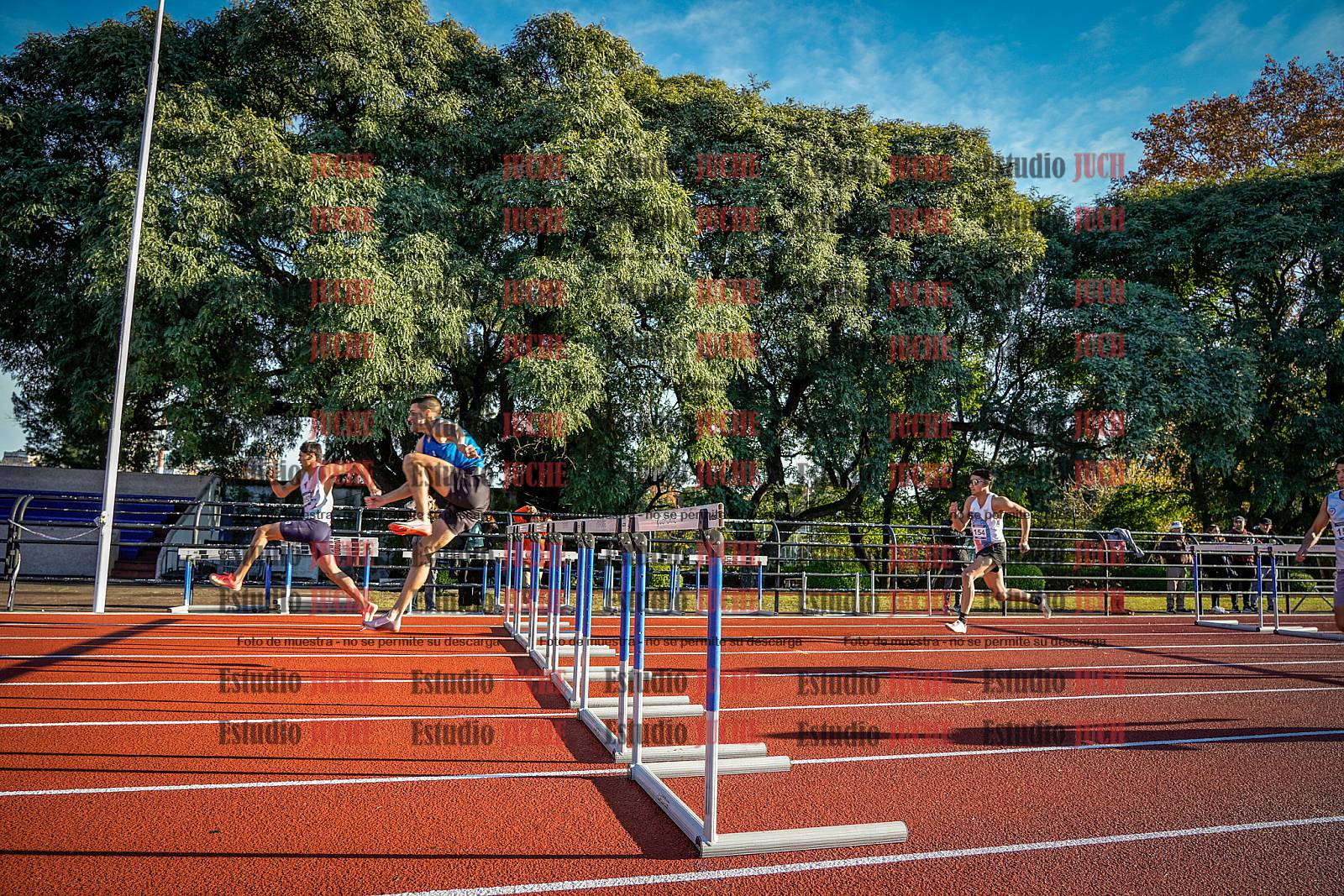 Fotos de los 110 m con vallas de varones - decatlón 6