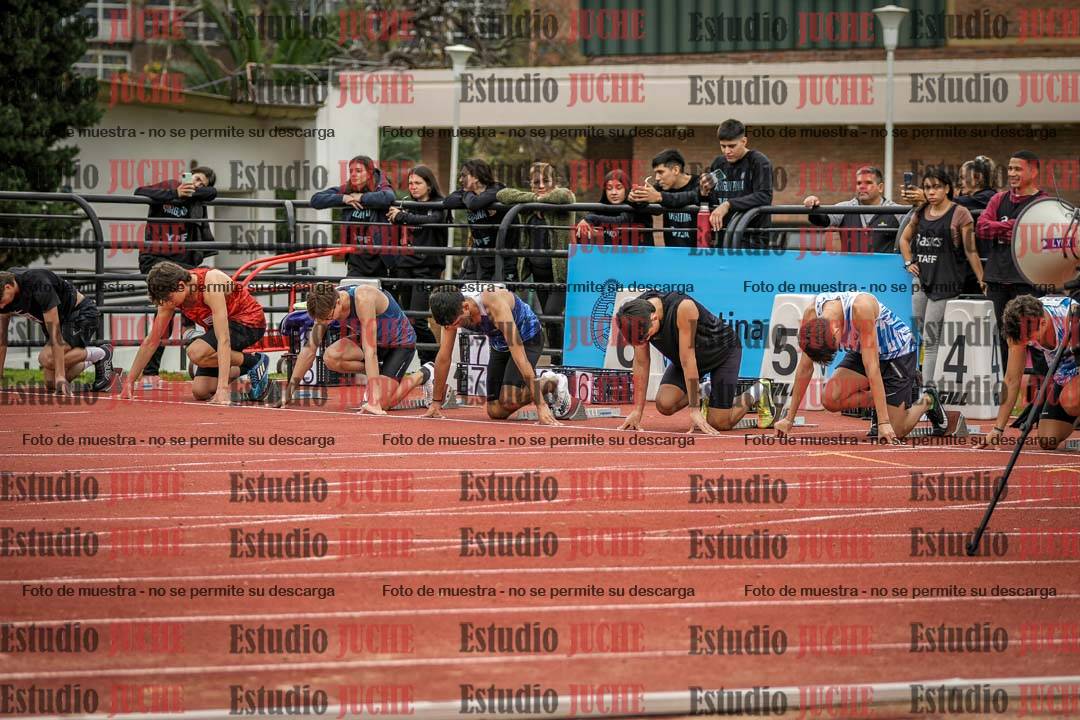 Fotos de los 110 m con vallas de varones