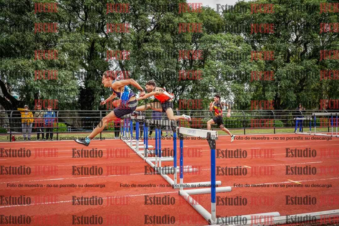 Fotos de los 110 m con vallas de varones