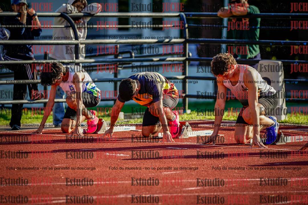 Fotos de los 110 m con vallas de varones