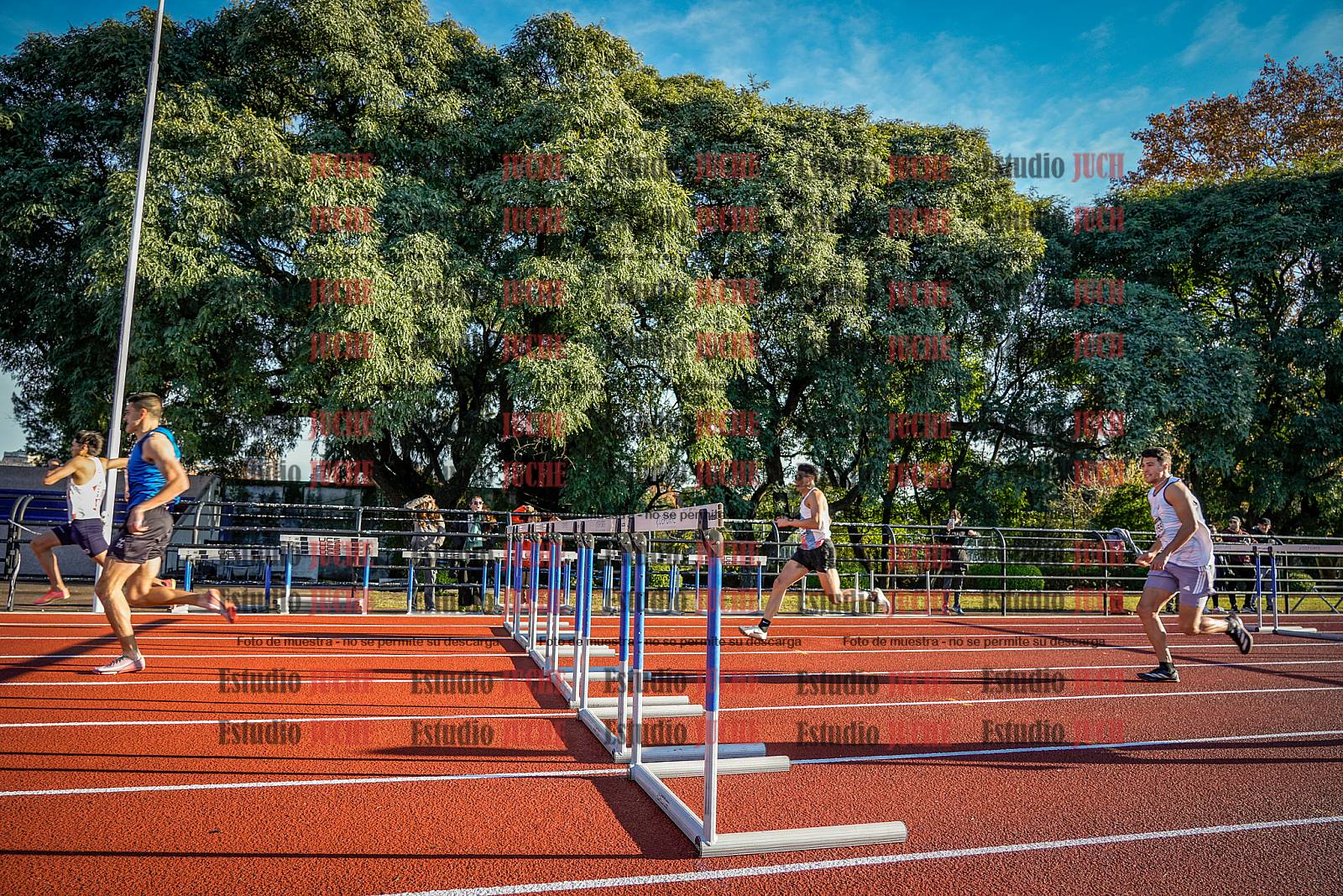 Fotos de los 110 m con vallas de varones - decatlón 6