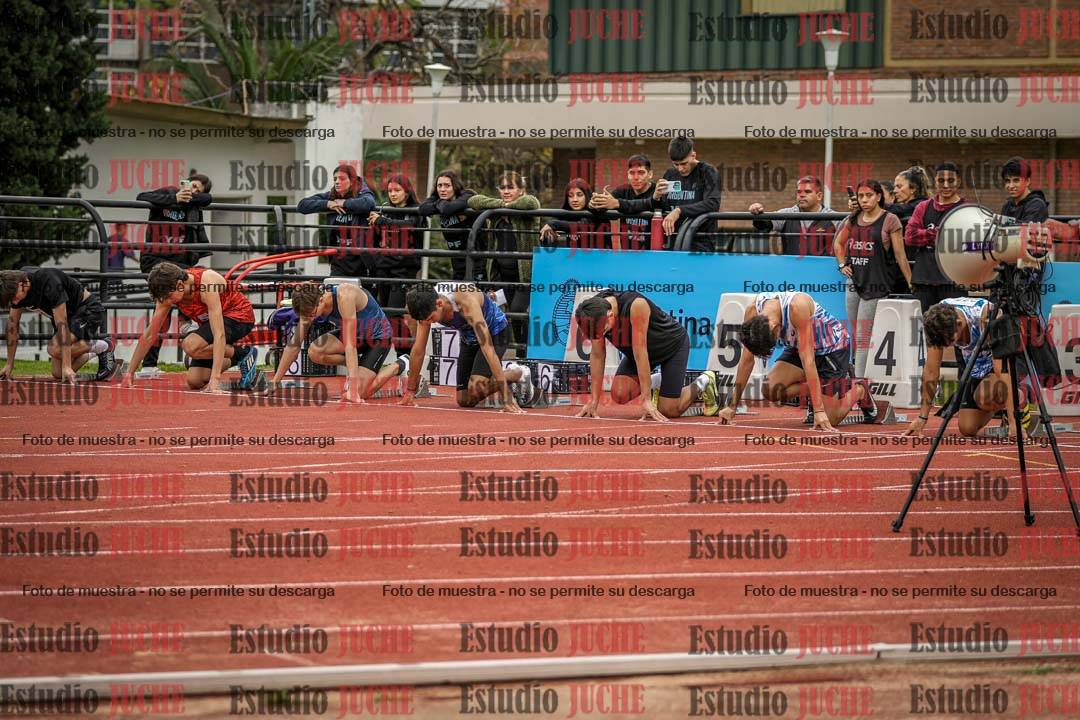 Fotos de los 110 m con vallas de varones