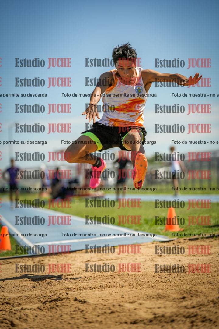 Fotos del salto en largo de varones