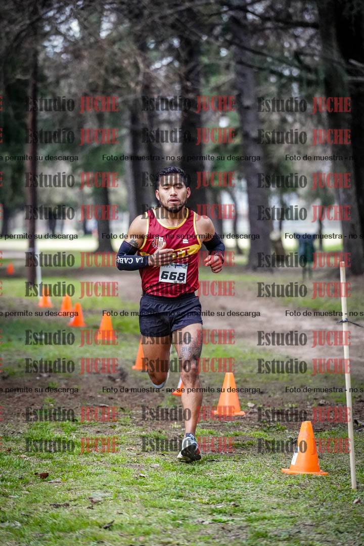 Fotos en el circuito
