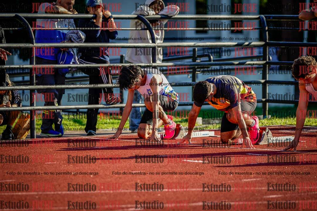 Fotos de los 110 m con vallas de varones