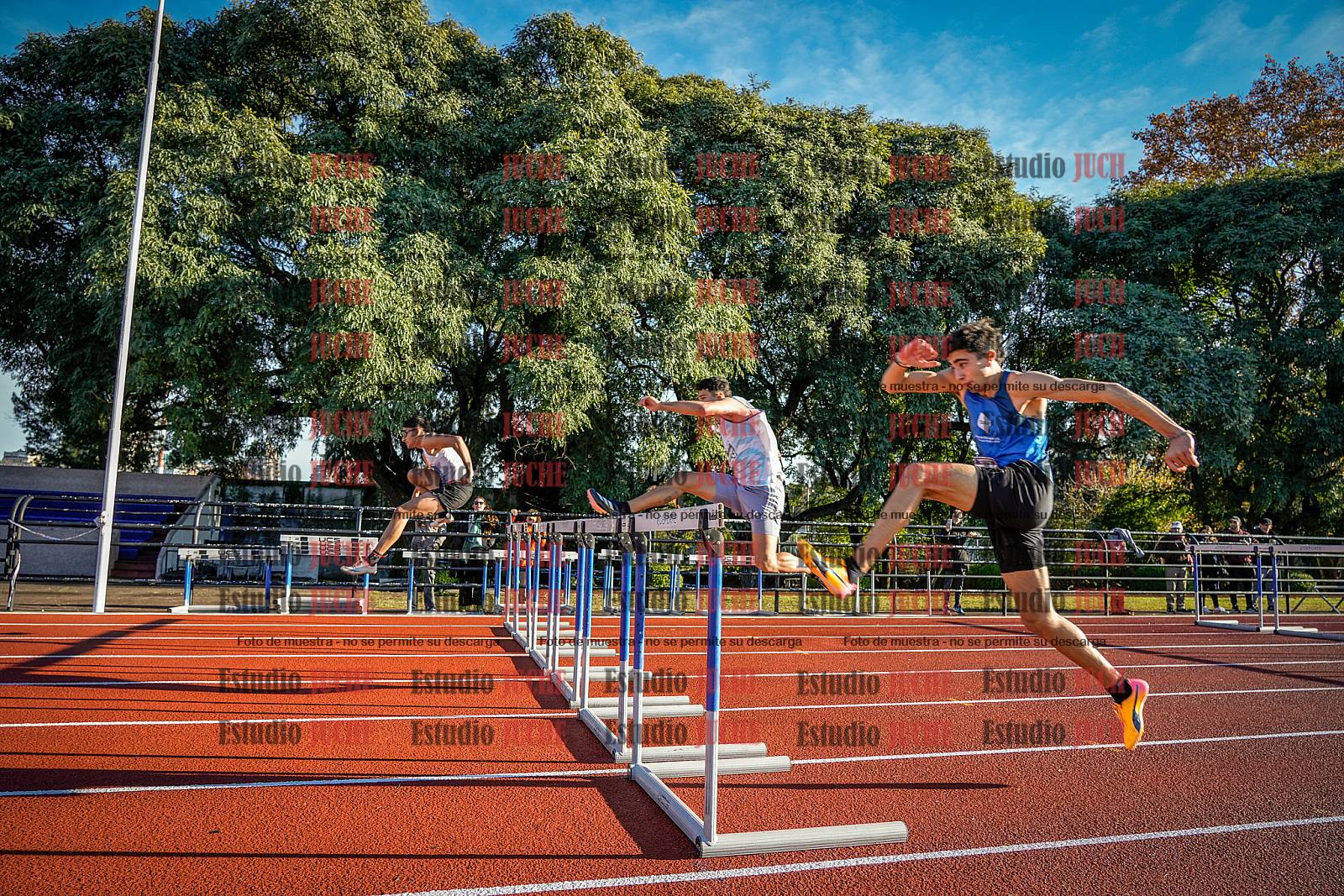 Fotos de los 110 m con vallas de varones - decatlón 6
