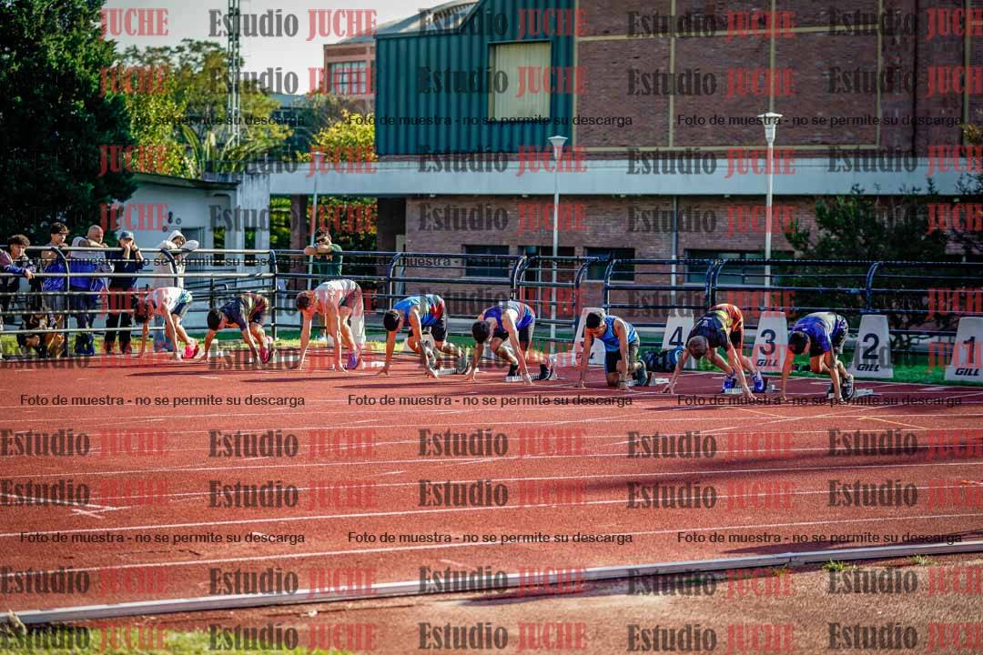 Fotos de los 110 m con vallas de varones