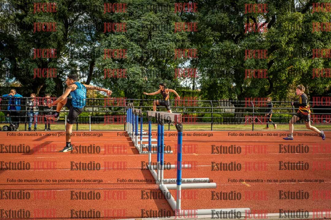 Fotos de los 110 m con vallas de varones