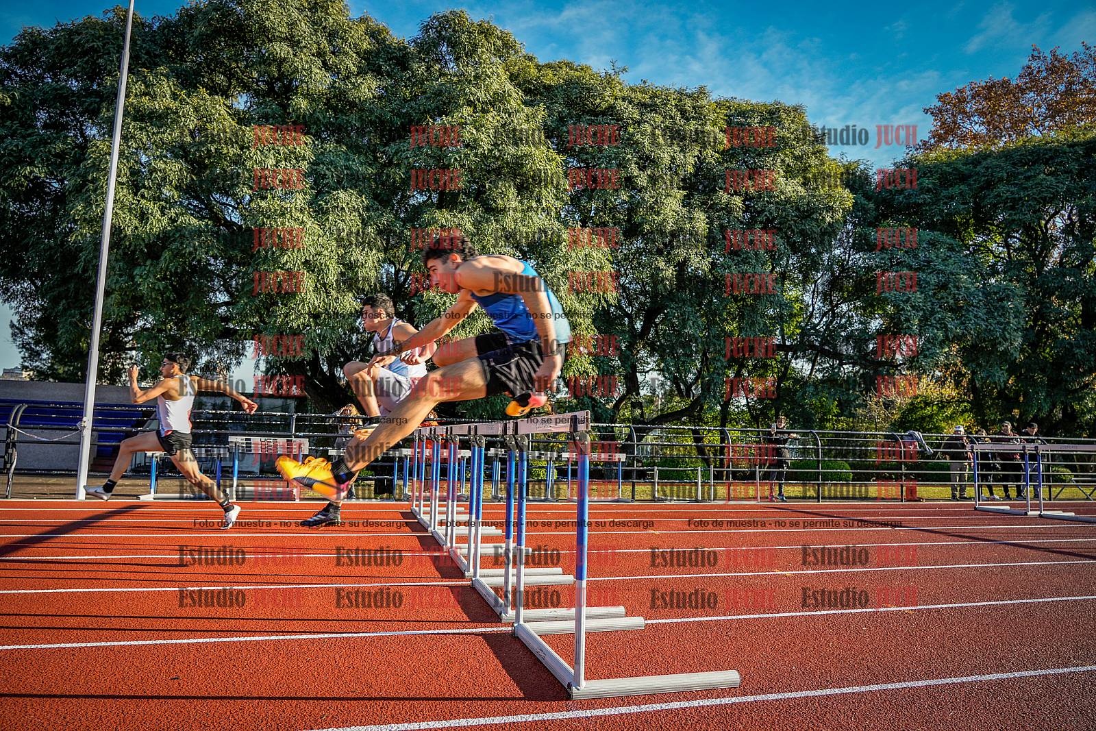 Fotos de los 110 m con vallas de varones - decatlón 6