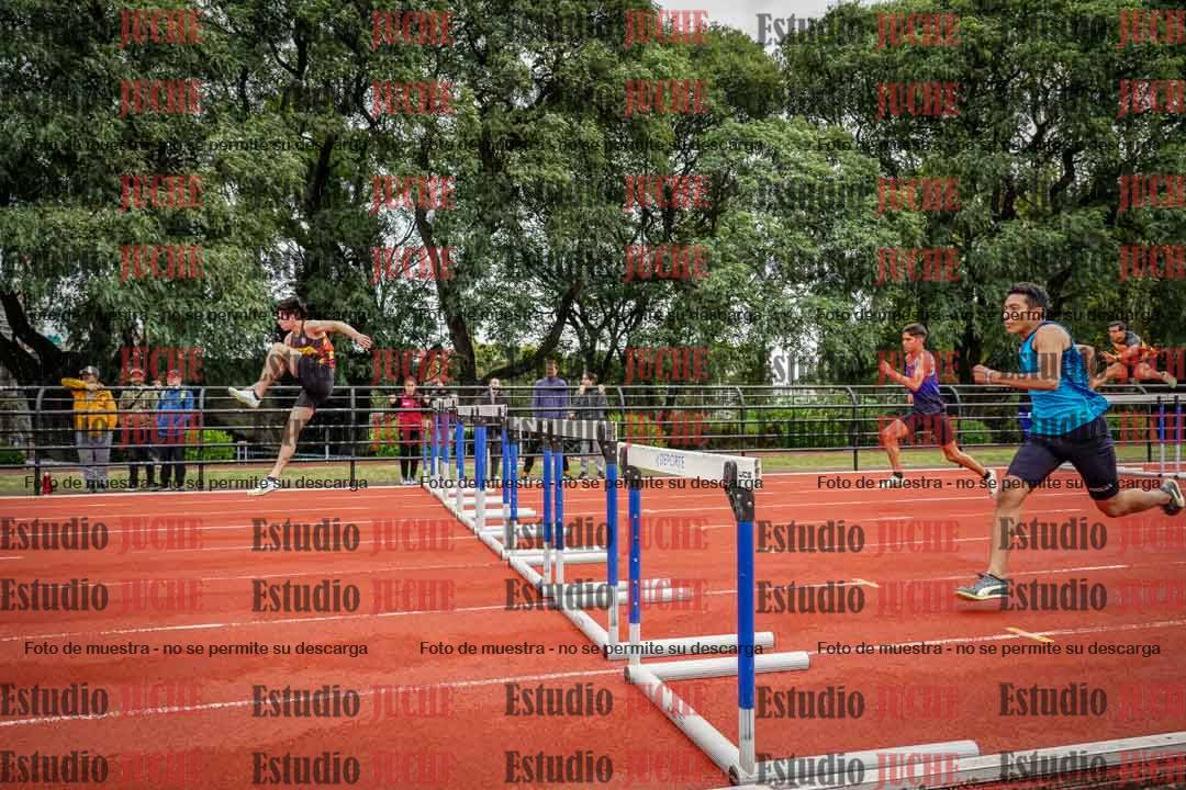 Fotos de los 110 m con vallas de varones