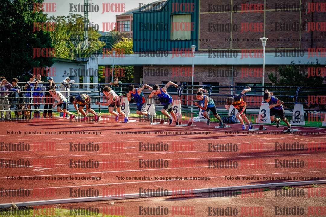 Fotos de los 110 m con vallas de varones