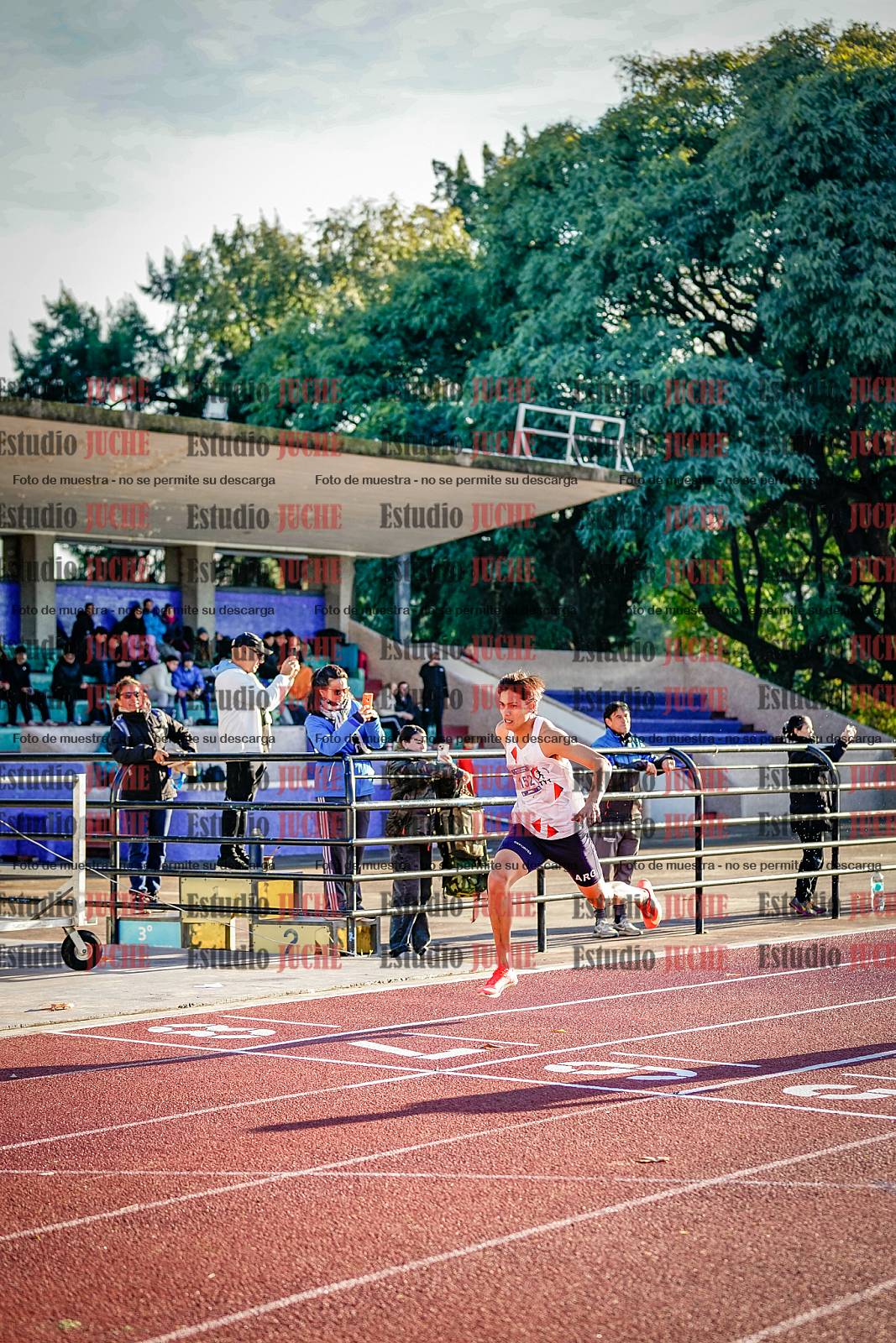 Fotos de los 110 m con vallas de varones - decatlón 6