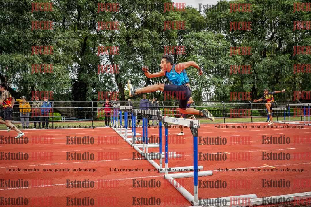 Fotos de los 110 m con vallas de varones