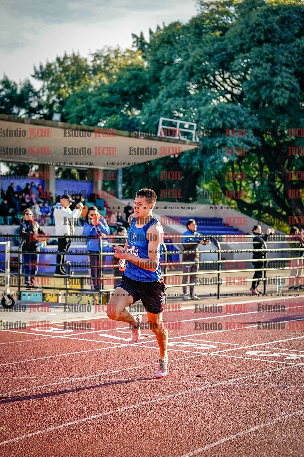 Fotos de los 110 m con vallas de varones - decatlón 6