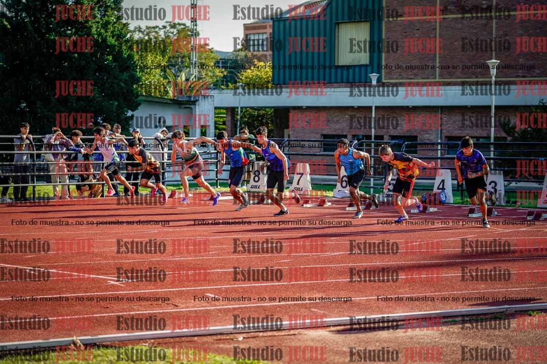Fotos de los 110 m con vallas de varones