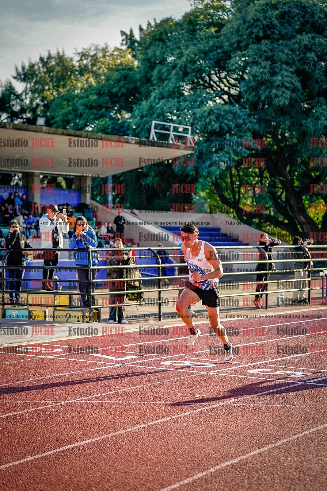Fotos de los 110 m con vallas de varones - decatlón 6