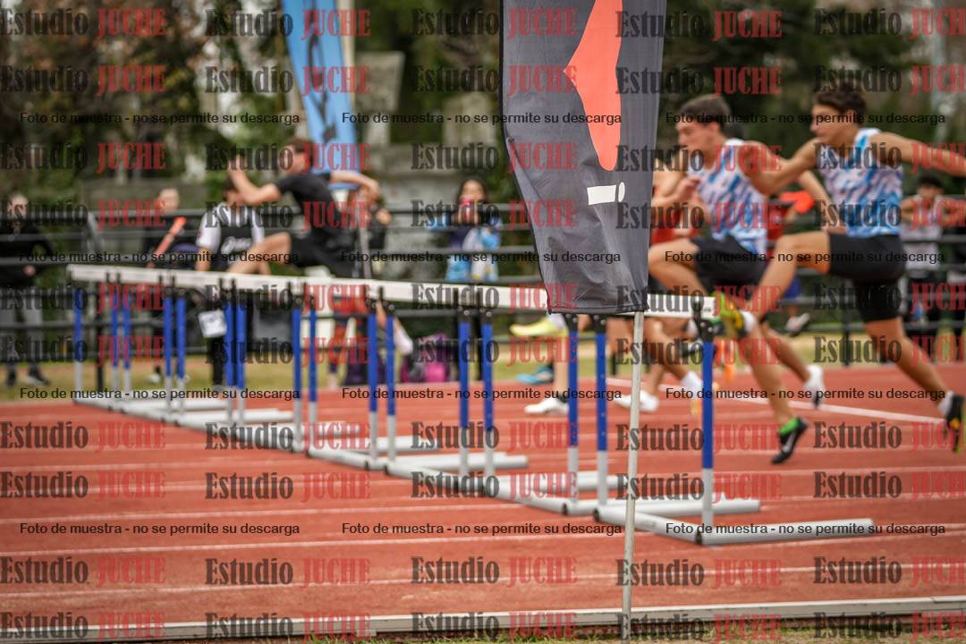 Fotos de los 110 m con vallas de varones