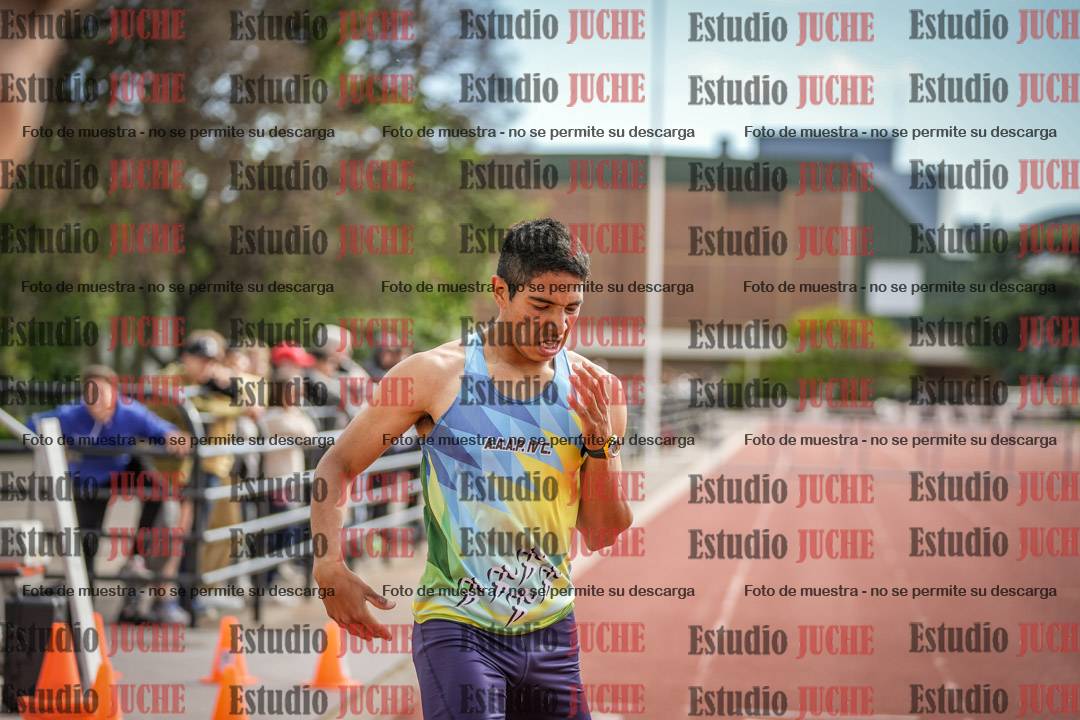 Fotos de los 400 m con vallas de varones