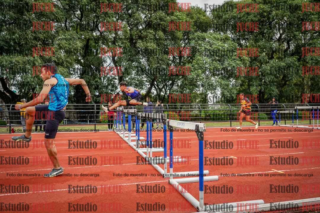Fotos de los 110 m con vallas de varones