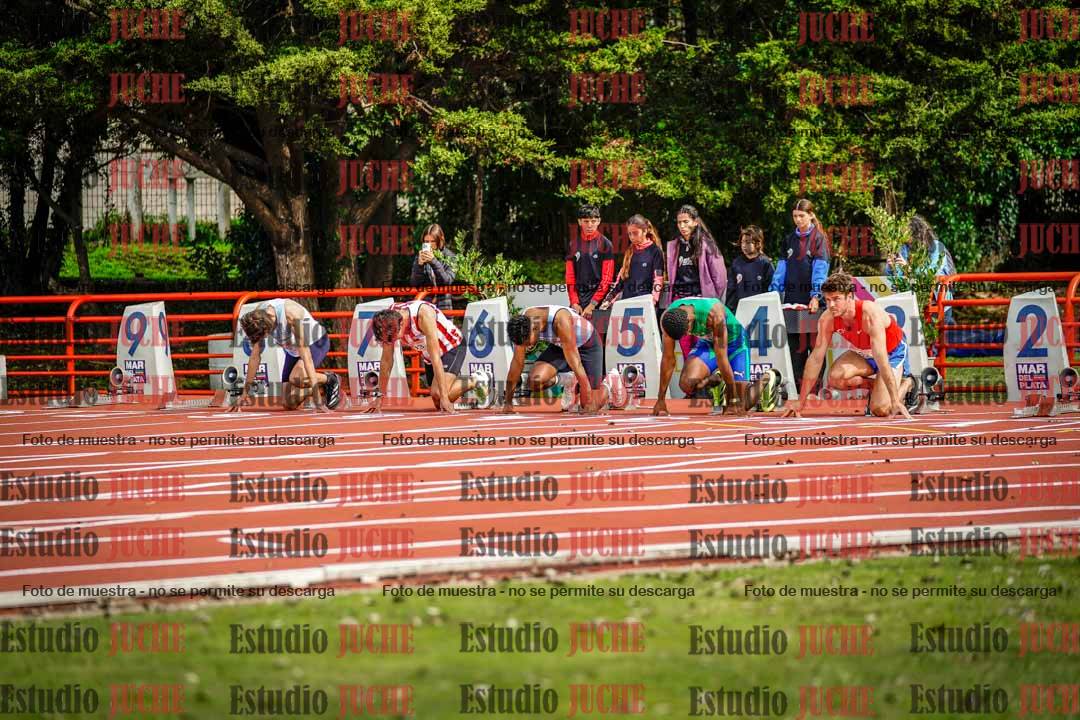 Fotos de los 110 m con vallas de varones