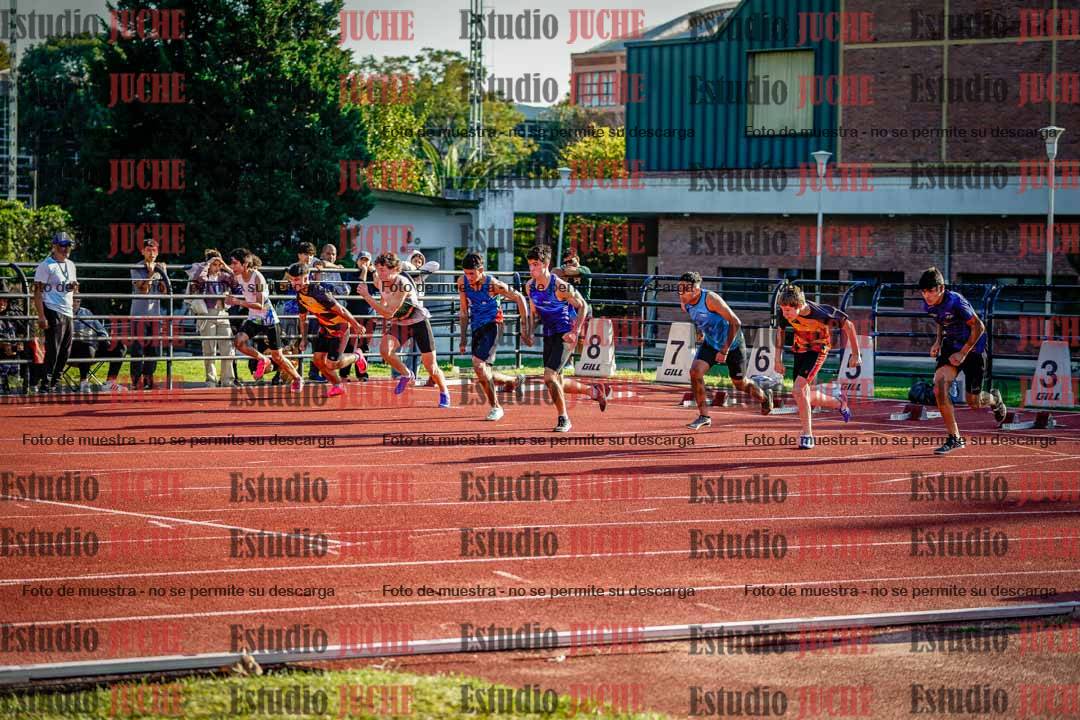 Fotos de los 110 m con vallas de varones