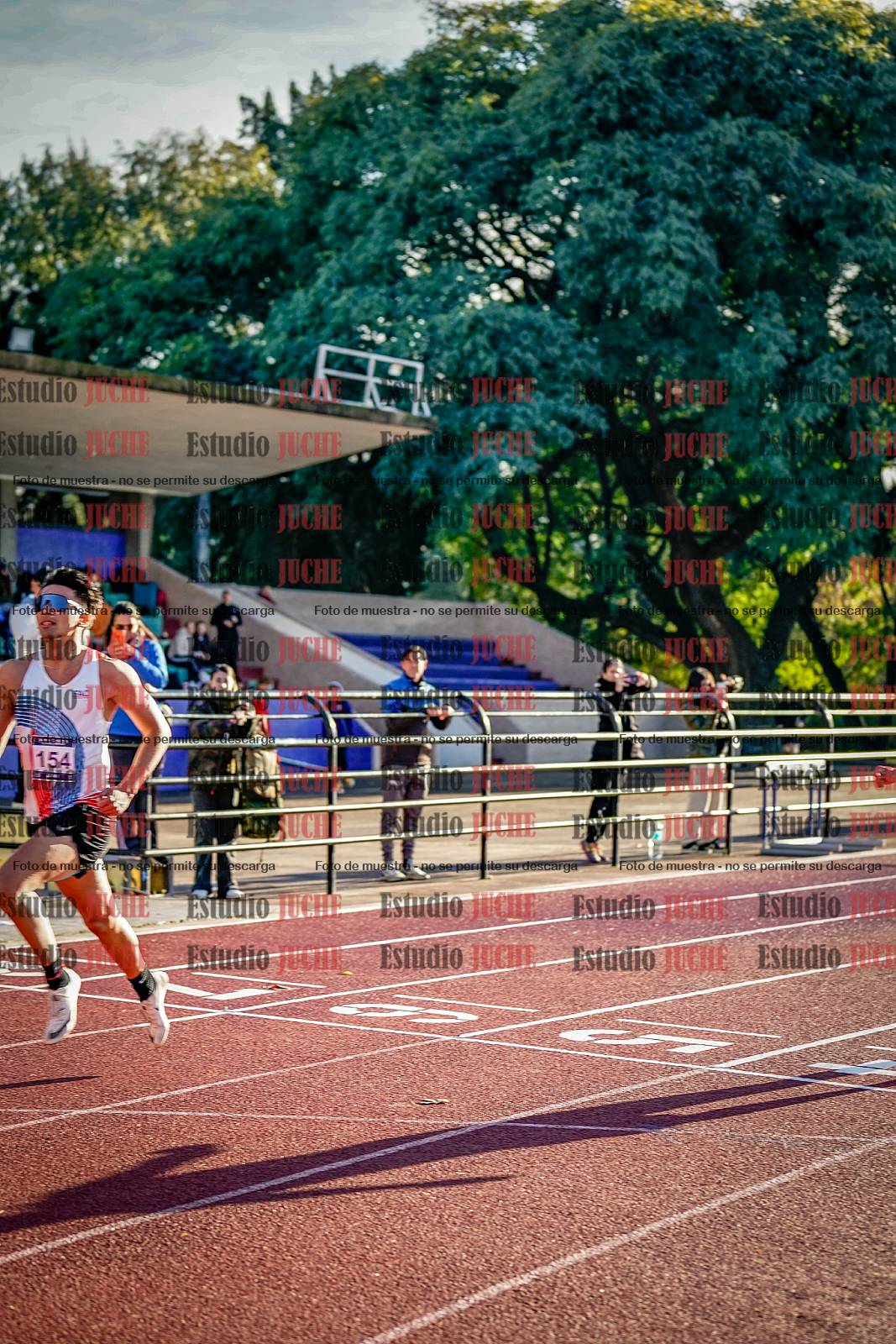 Fotos de los 110 m con vallas de varones - decatlón 6