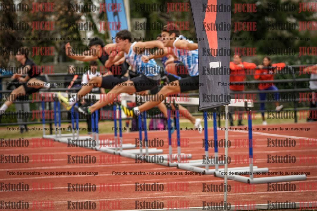 Fotos de los 110 m con vallas de varones
