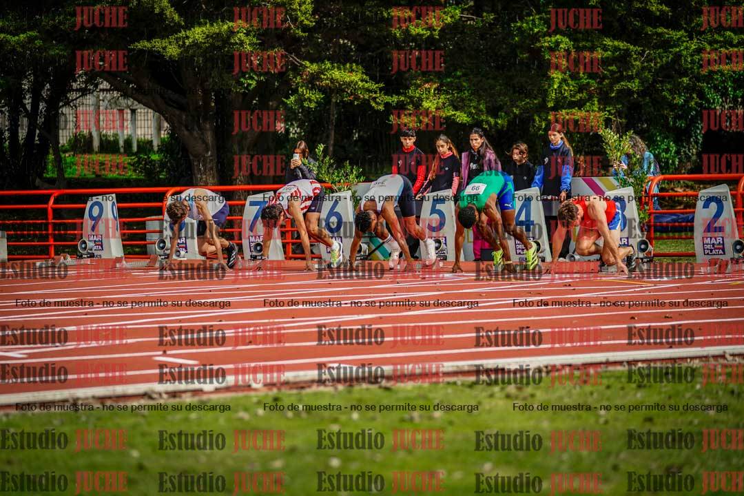 Fotos de los 110 m con vallas de varones