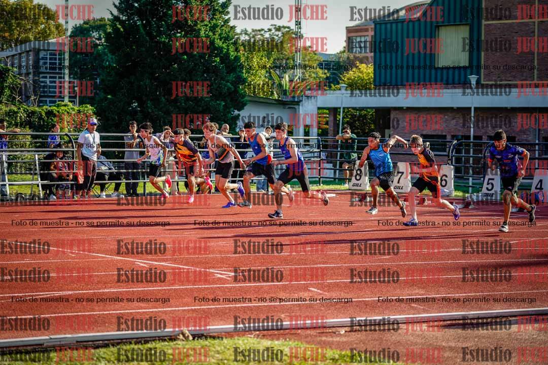 Fotos de los 110 m con vallas de varones
