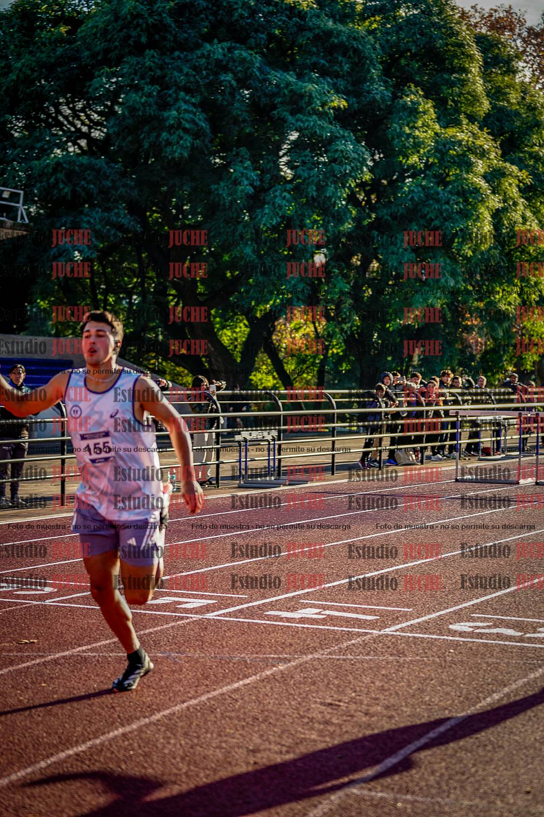 Fotos de los 110 m con vallas de varones - decatlón 6