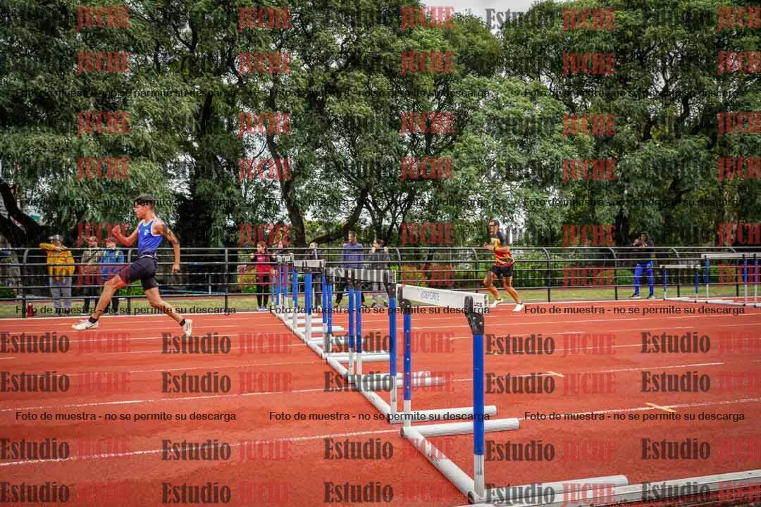 Fotos de los 110 m con vallas de varones