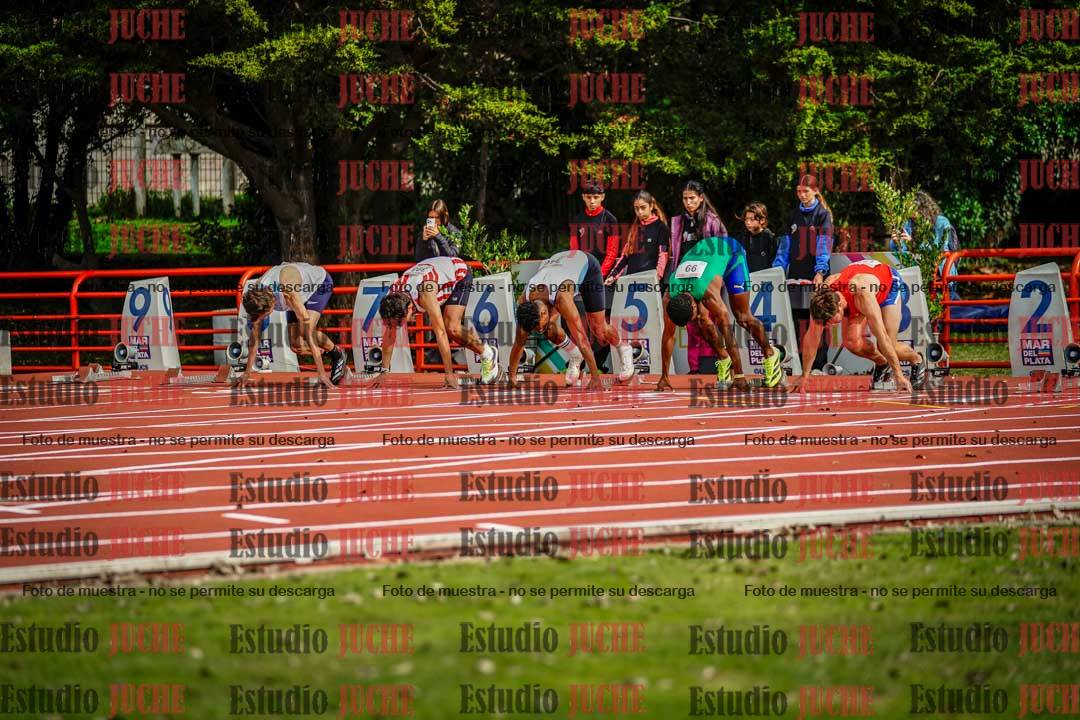 Fotos de los 110 m con vallas de varones