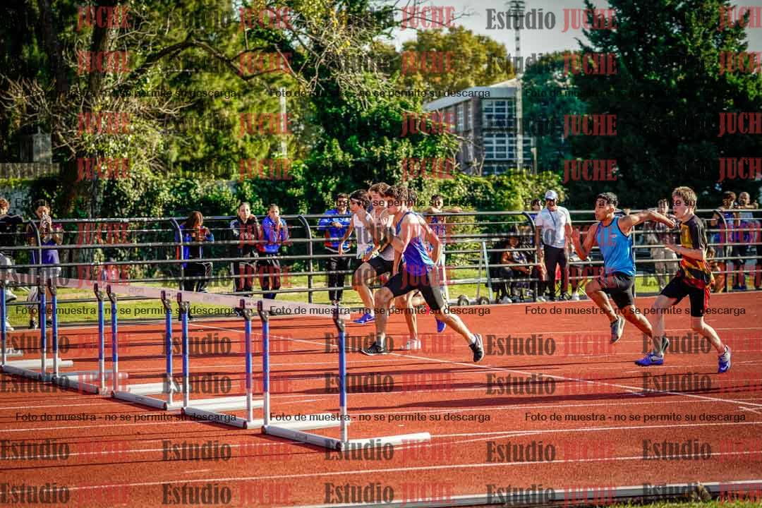 Fotos de los 110 m con vallas de varones
