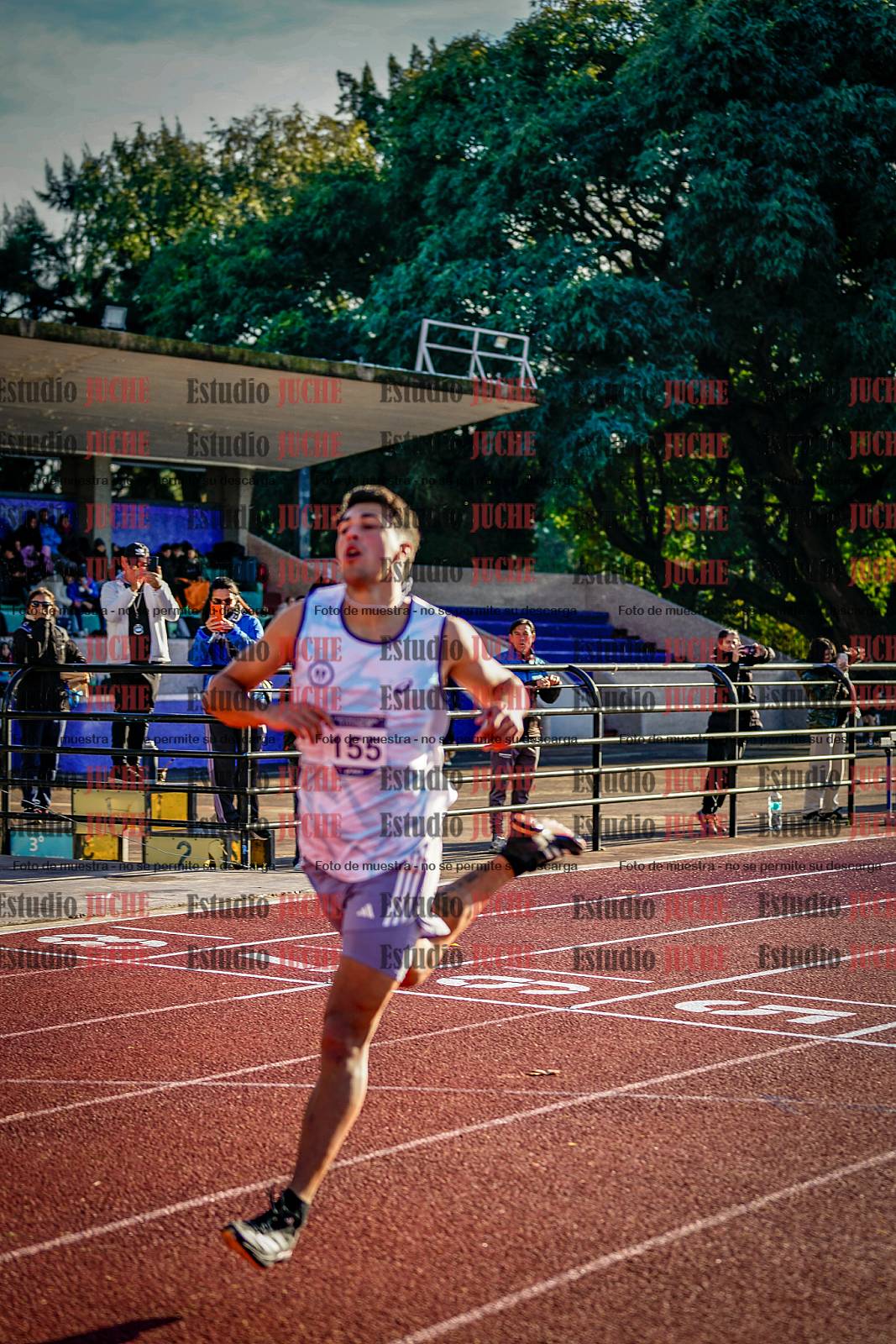 Fotos de los 110 m con vallas de varones - decatlón 6